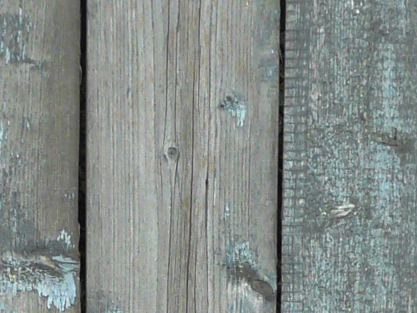 Rustic grey planks with splintering ends set vertically with grass on bottom.